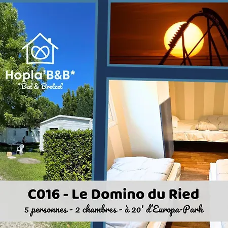 C16 - Le Domino Du Ried Villa Boofzheim Exterior photo